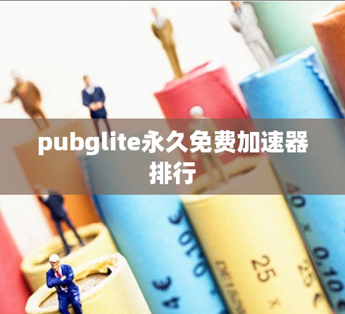 pubglite永久免费加速器排行 pubglite永久免费加速器排行