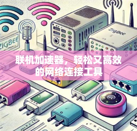 联机加速器，轻松又高效的网络连接工具