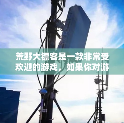 荒野大镖客是一款非常受欢迎的游戏，如果你对游戏或者加速器不太了解，可以参考以下内容