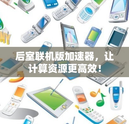 后室联机版加速器,让计算资源更高效!