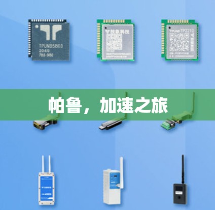 帕鲁，加速之旅