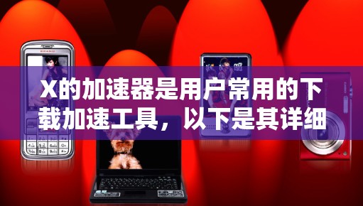 X的加速器是用户常用的下载加速工具,以下是其详细的信息