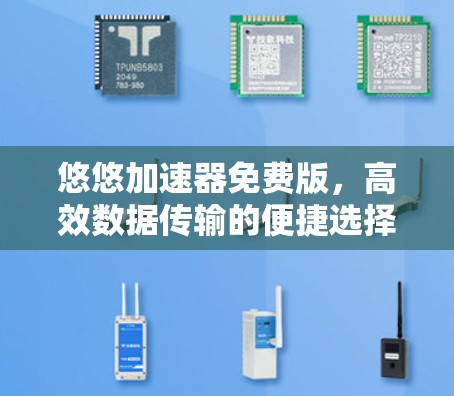 悠悠加速器免费版,高效数据传输的便捷选择