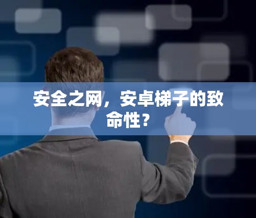 安全之网，安卓梯子的致命性？