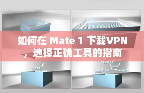如何在 Mate 1 下载VPN,选择正确工具的指南