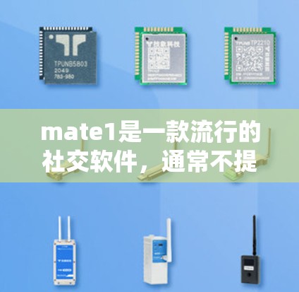 mate1是一款流行的社交软件，通常不提供VPN功能。如果您需要VPN服务，可以尝试以下可靠的VPN服务