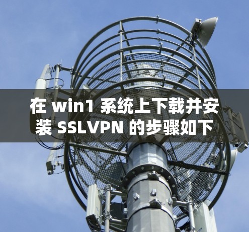 在 win1 系统上下载并安装 SSLVPN 的步骤如下 在 win1 系统上下载并安装 SSLVPN 的步骤如下