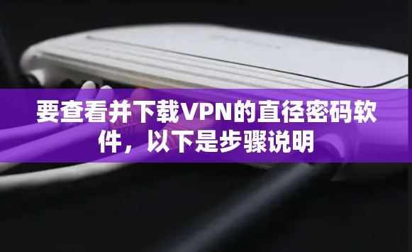 要查看并下载VPN的直径密码软件，以下是步骤说明