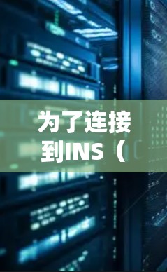 为了连接到INS（内网）您需要按照以下步骤操作