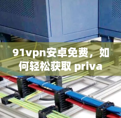 91vpn安卓免费，如何轻松获取 privacy