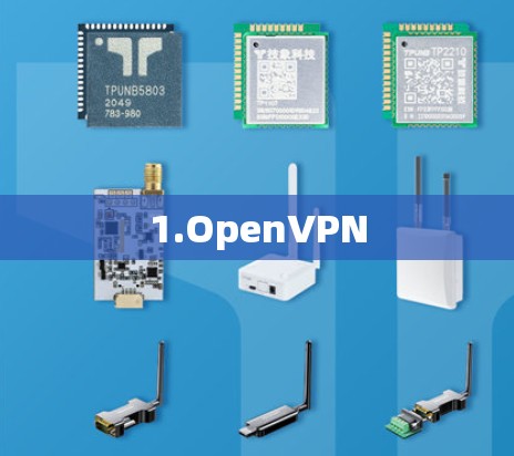 1.OpenVPN