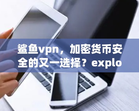 鲨鱼vpn,加密货币安全的又一选择?explored by通信工程师