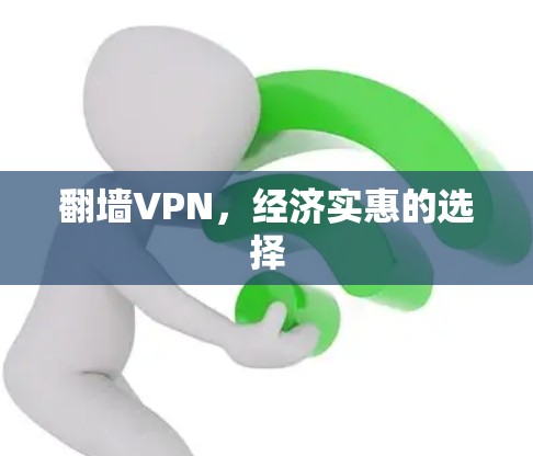 翻墙VPN，经济实惠的选择