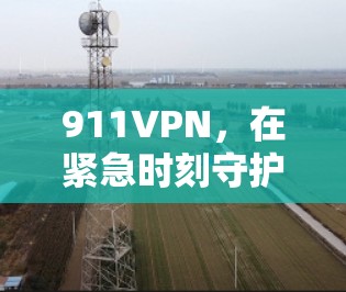 911VPN,在紧急时刻守护你的信息安全