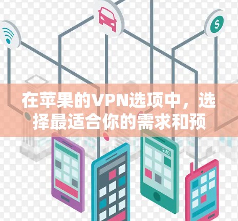在苹果的VPN选项中，选择最适合你的需求和预算的配置是关键。以下是对不同VPN选项的分析和建议