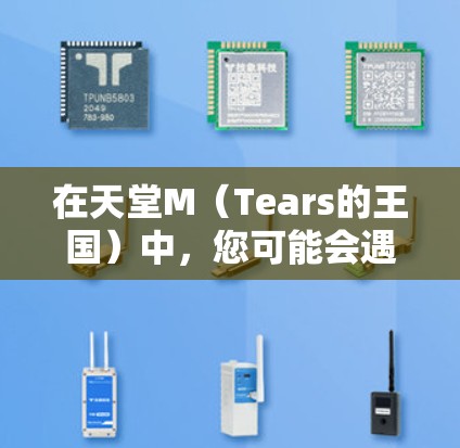 在天堂M(Tears的王国)中,您可能会遇到VPN的使用需求。以下是关于如何在天堂M中使用VPN的一些关键点