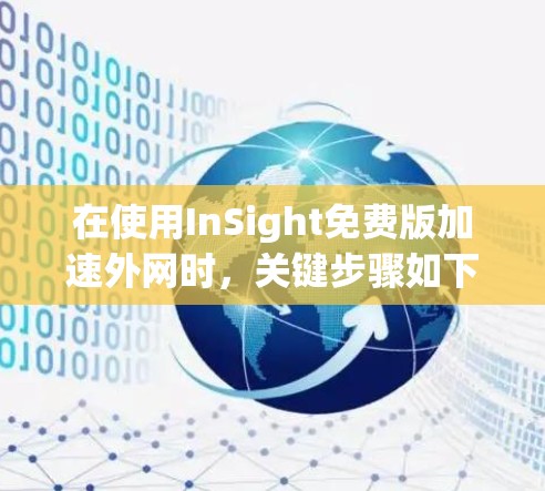 在使用InSight免费版加速外网时,关键步骤如下