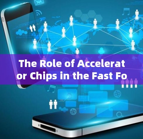 The Role of Accelerator Chips in the Fast Forward of Modern Communications