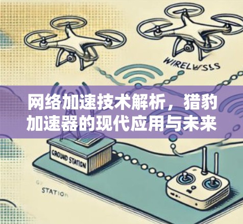 网络加速技术解析，猎豹加速器的现代应用与未来展望