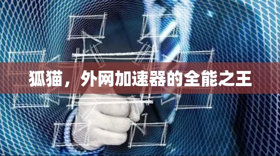 狐猫，外网加速器的全能之王