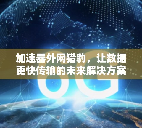 加速器外网猎豹,让数据更快传输的未来解决方案 加速器外网猎豹,让数据更快传输的未来解决方案