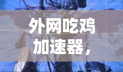外网吃鸡加速器,加速游戏,提升性能的高效工具