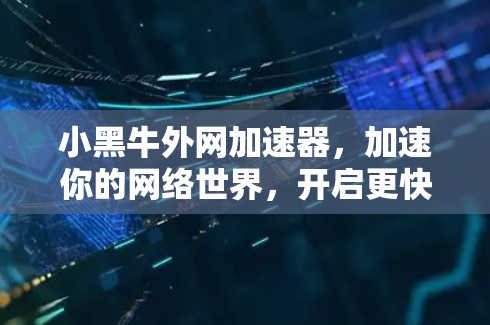 小黑牛外网加速器,加速你的网络世界,开启更快的未来