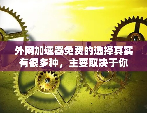 外网加速器免费的选择其实有很多种，主要取决于你的需求和预算。以下是一些常见的免费外网加速器推荐，这些平台通常提供稳定的速度和高质量的下载体验