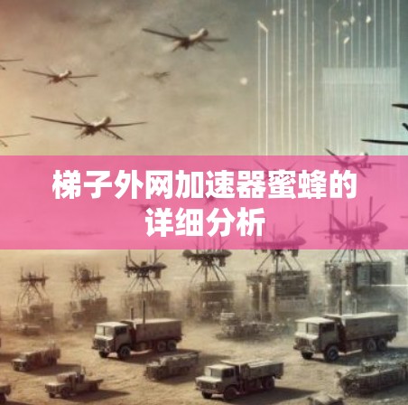 梯子外网加速器蜜蜂的详细分析