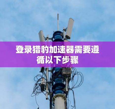 登录猎豹加速器需要遵循以下步骤