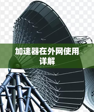 加速器在外网使用详解