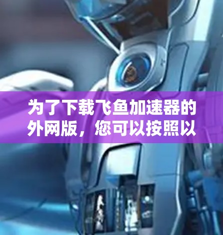 为了下载飞鱼加速器的外网版，您可以按照以下步骤进行