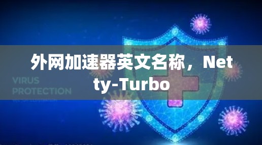 外网加速器英文名称，Netty-Turbo