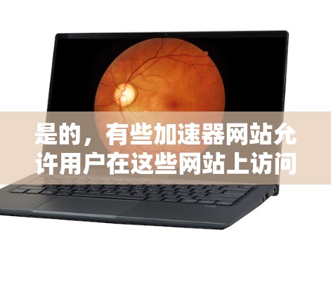 是的，有些加速器网站允许用户在这些网站上访问网，以便优化网络连接。以下是一些常见的加速器和如何在它们上使用网的步骤