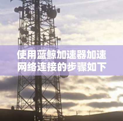 使用蓝鲸加速器加速网络连接的步骤如下