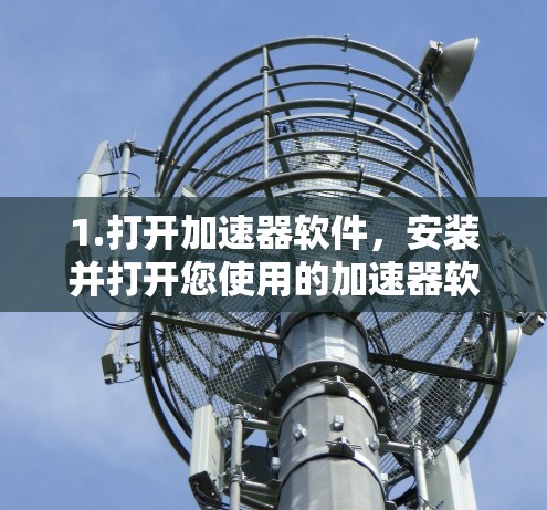 1.打开加速器软件,安装并打开您使用的加速器软件,如LSCP、NetNuke、NetBrunch等