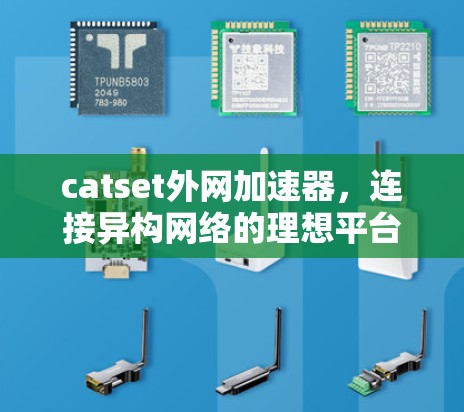 catset外网加速器,连接异构网络的理想平台